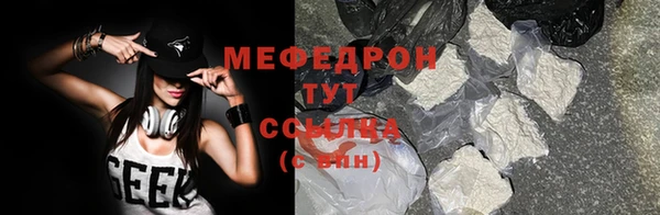 индика Абаза