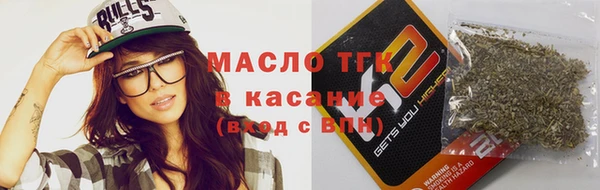 индика Абаза