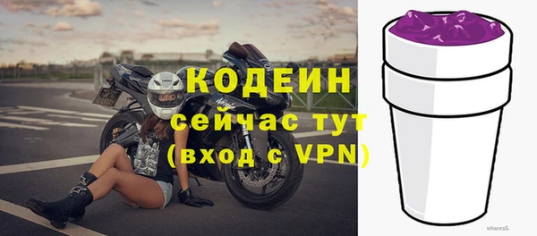 индика Абаза
