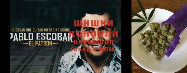 PSILOCYBIN Абинск