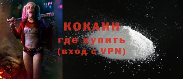 индика Абаза