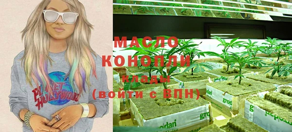 индика Абаза