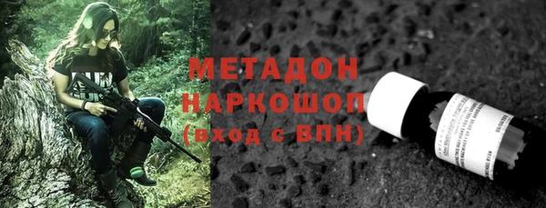 индика Абаза