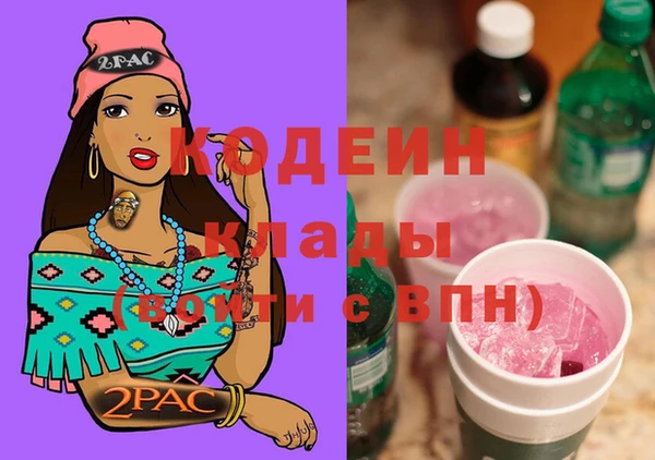 индика Абаза