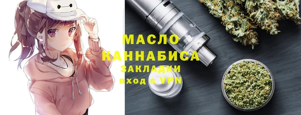 индика Абаза