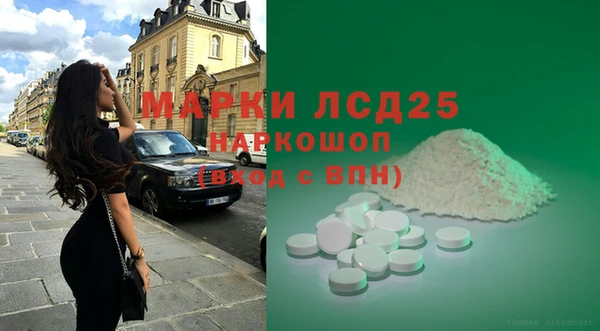 индика Абаза