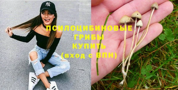 PSILOCYBIN Абинск