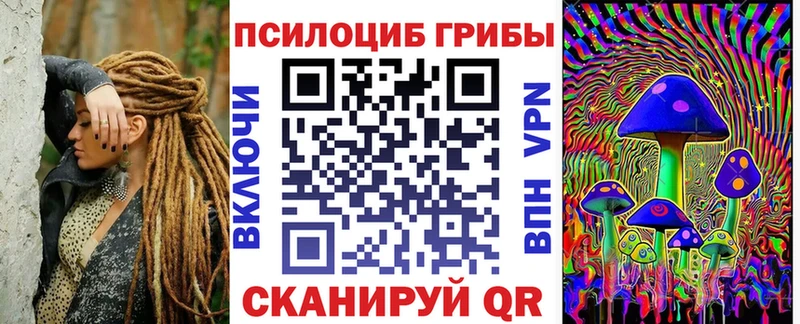 сколько стоит  Исилькуль  Галлюциногенные грибы Cubensis 